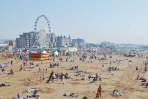 Weston-super-Mare Pest Control
