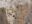 Woodworm Treatment Bristol