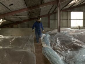 Grain fumigation