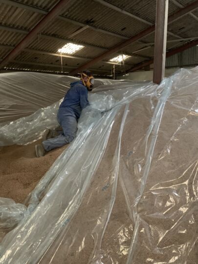 Grain fumigation