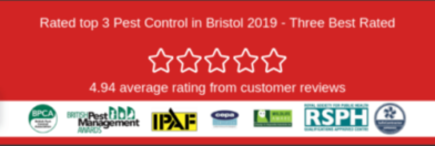 Pest Control Bristol