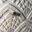 Bed bugs Bristol