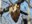 This is a beehive in a tree