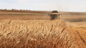 preparing grain storage for harvest